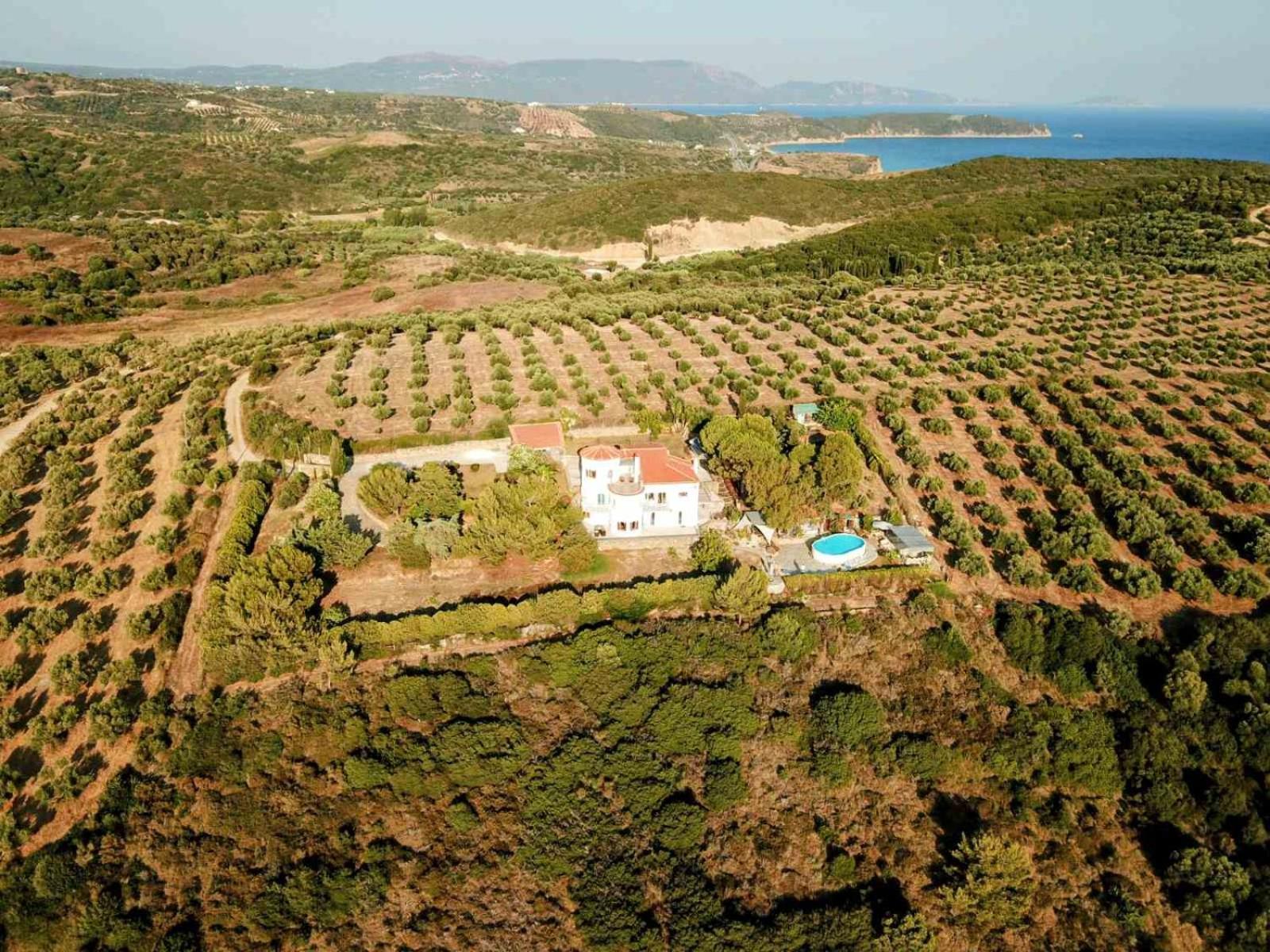 מת'וני Charly Point Villa מראה חיצוני תמונה