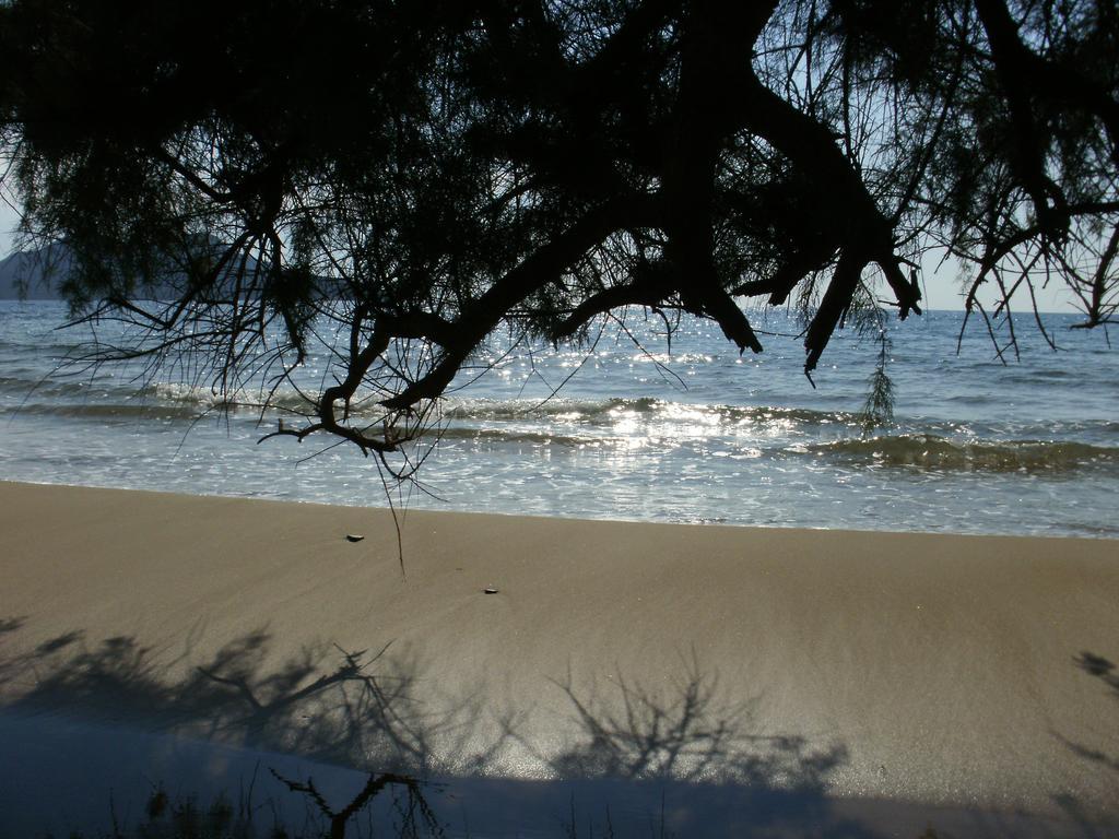מת'וני Charly Point Villa מראה חיצוני תמונה